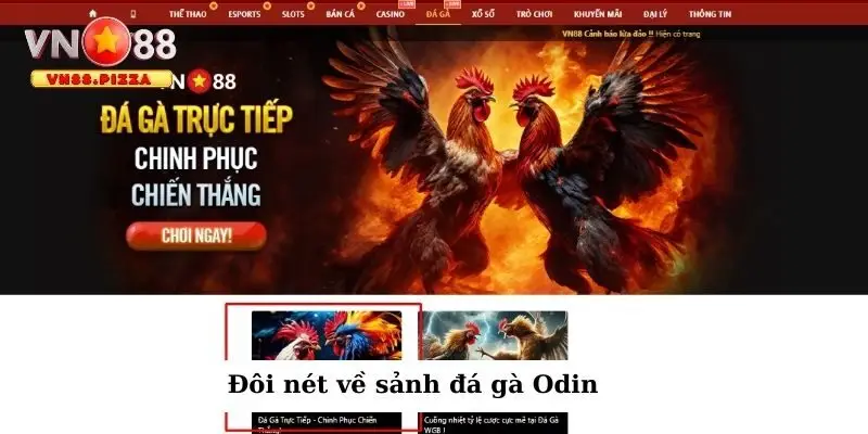 Đá gà Odin – Trải nghiệm cá cược gà tuyệt vời tại nhà cái VN88 1 Đôi nét về sảnh đá gà Odin