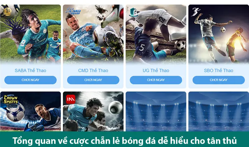 Khám phá các loại kèo chẵn lẻ bóng đá và kinh nghiệm chơi hiệu quả từ cao thủ 1 Khám phá các loại kèo chẵn lẻ bóng đá và kinh nghiệm chơi hiệu quả từ cao thủ