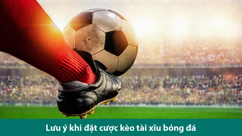 Cách đánh tài xỉu bóng đá hay từ dân chơi cá độ chuyên nghiệp 3 Cách đánh tài xỉu bóng đá hay từ dân chơi cá độ chuyên nghiệp